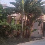 IMG-20260718-WA0123