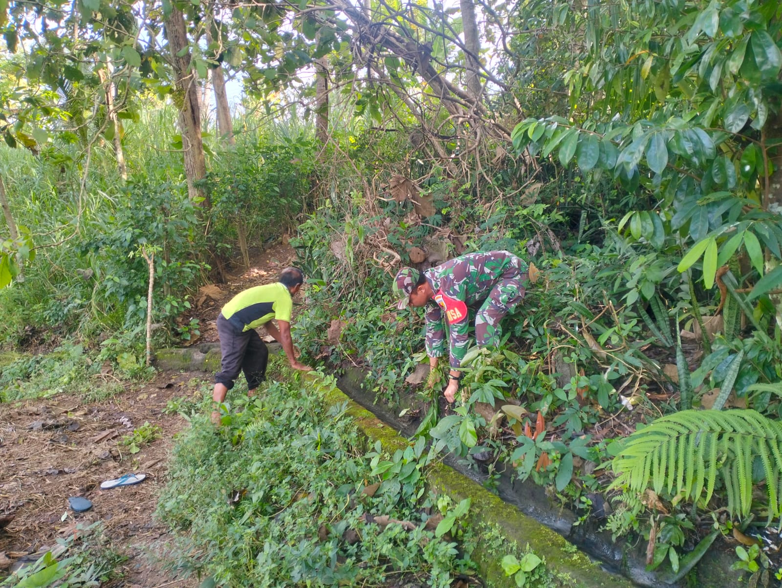 IMG-20260804-WA0078